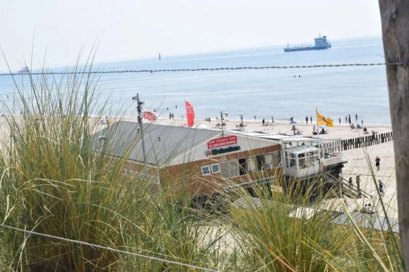 big_dsc_0950